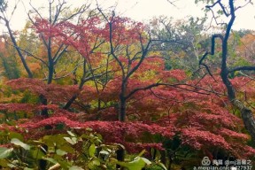 开云入口 -6渓舖)A?的简单介绍